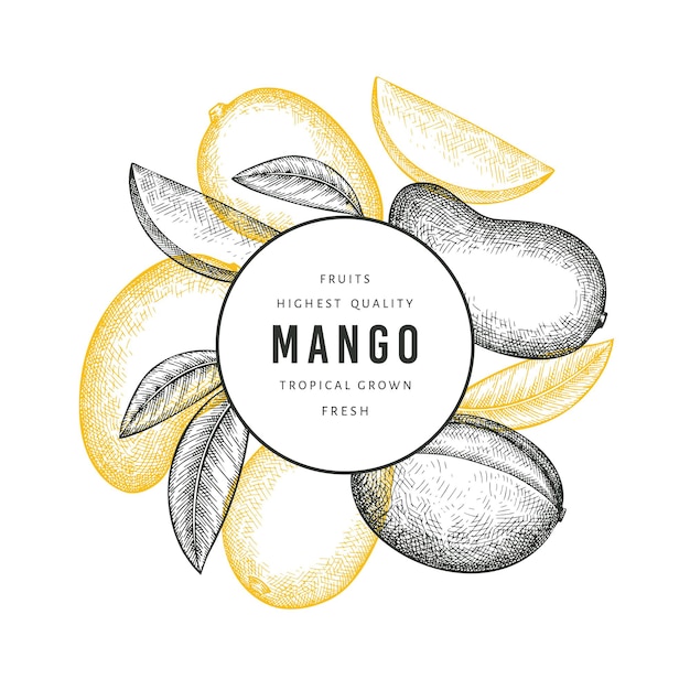 Mango stile schizzo disegnato a mano. illustrazione di frutta fresca.