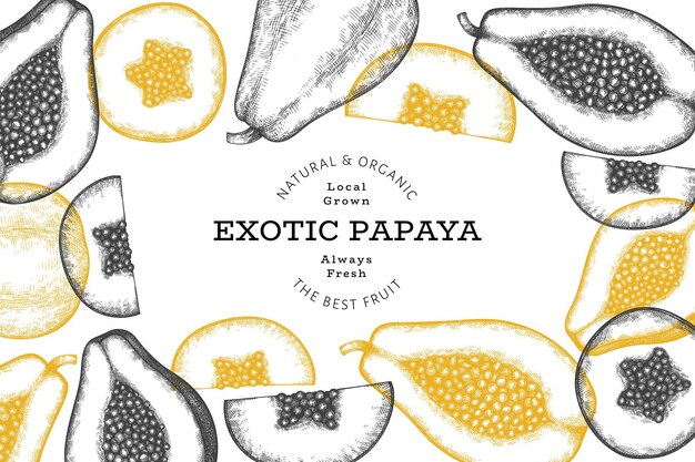 Hand drawn sketch style papaya background. Organic fresh fruit. Retro fruit