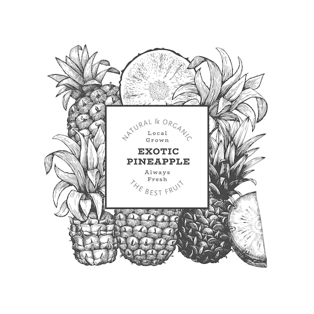 Banner di ananas in stile schizzo disegnato a mano illustrazione vettoriale di frutta fresca biologica modello di design botanico in stile inciso