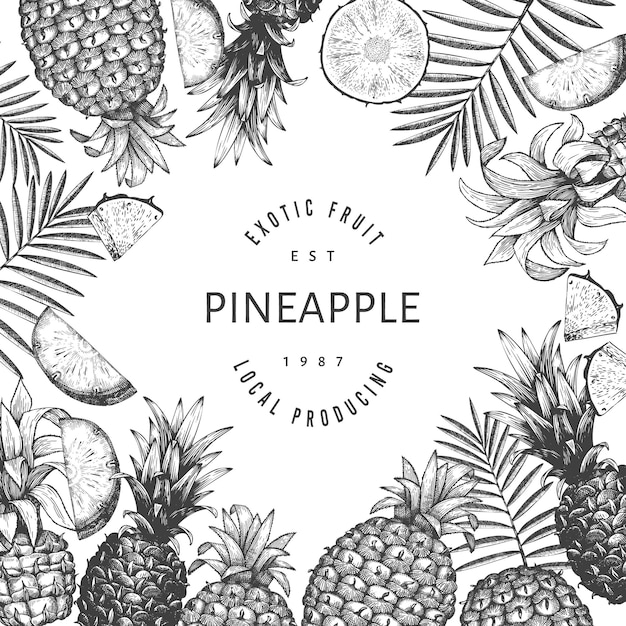 Hand drawn sketch style pineapple banner