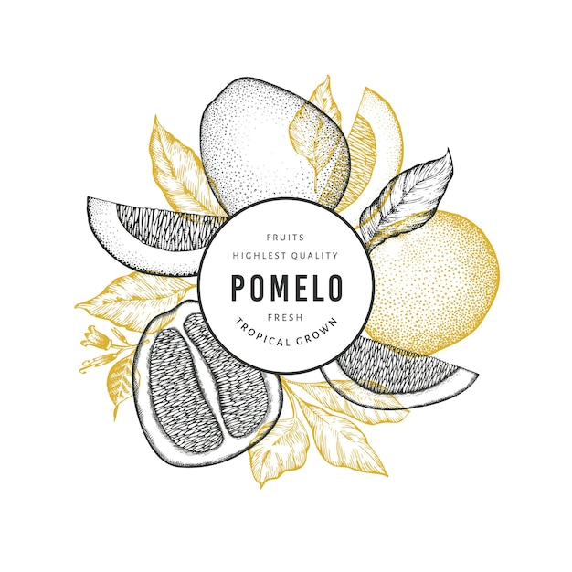 Banner di pomelo stile schizzo disegnato a mano. illustrazione di frutta fresca biologica. modello di frutta retrò