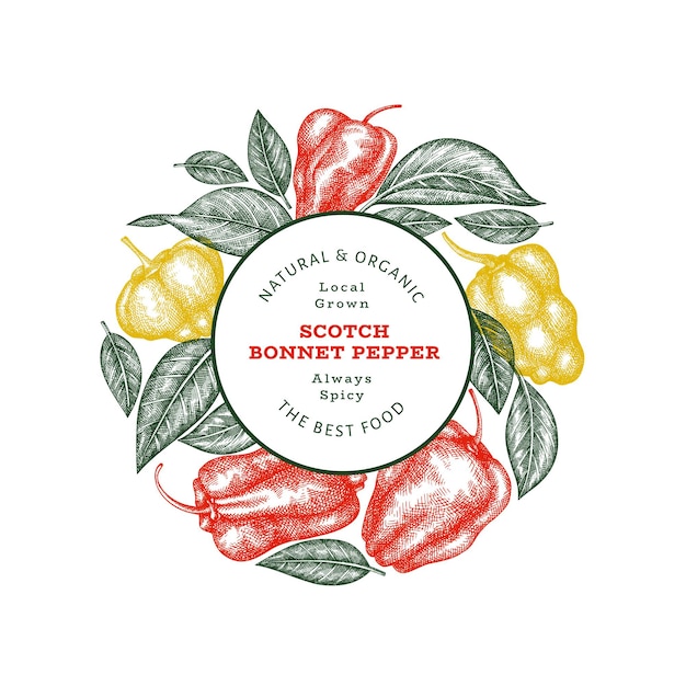 Hand drawn sketch style scotch bonnet pepper banner.