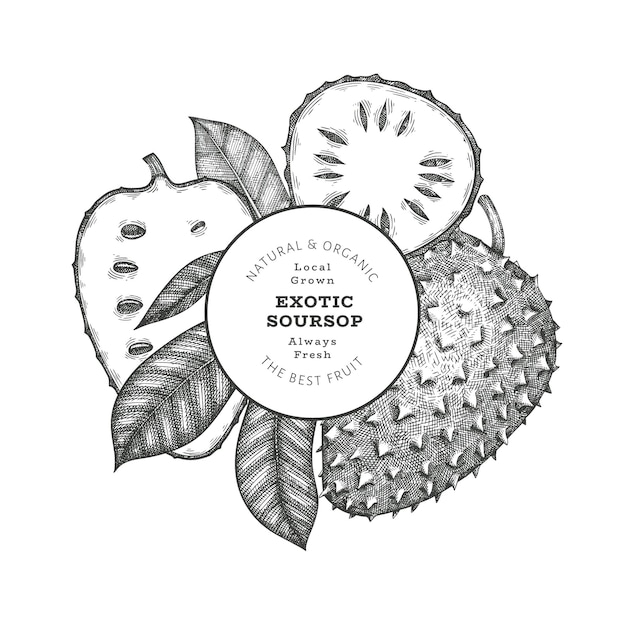 Vector hand drawn sketch style soursop fruit