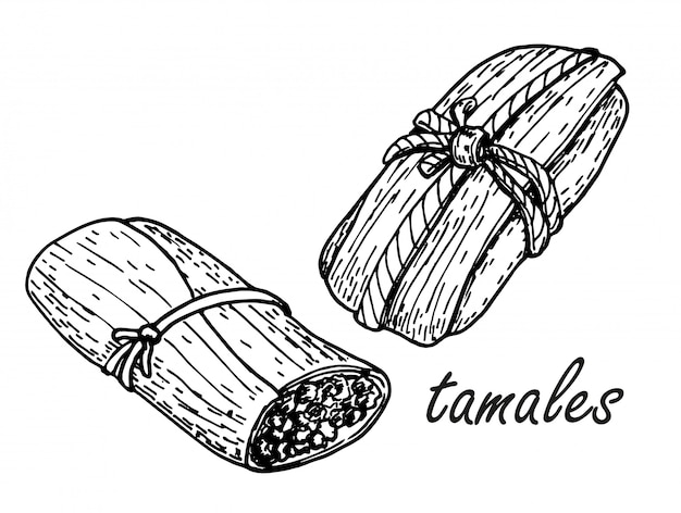 Tamales messicano tradizionale dell'alimento di stile disegnato a mano di schizzo. illustrazione schizzo disegnato a mano illustrazione messicana di vettore di cucina messicana retrò. per menu di ristoranti, volantini e banner.