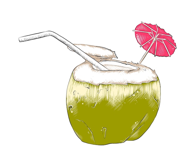 Schizzo disegnato a mano di cocktail di cocco estivo