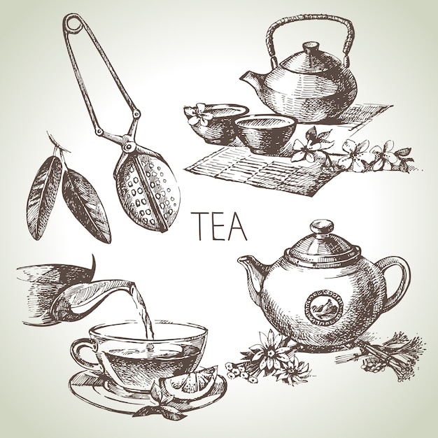 Hand drawn sketch tea set