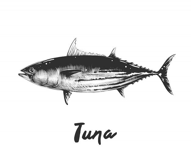 29 Tuna Tattoo Designs That Turn Heads in 2023  Tattoo Twist