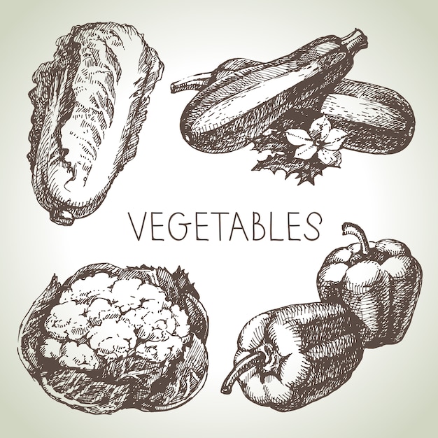 Hand drawn sketch vegetable set