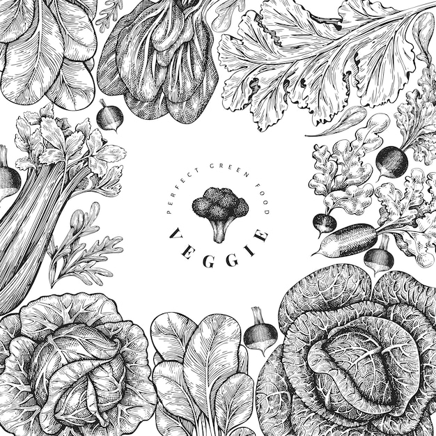 Hand drawn sketch vegetables design. organic fresh food   banner template. retro vegetable background. engraved style botanical illustrations.