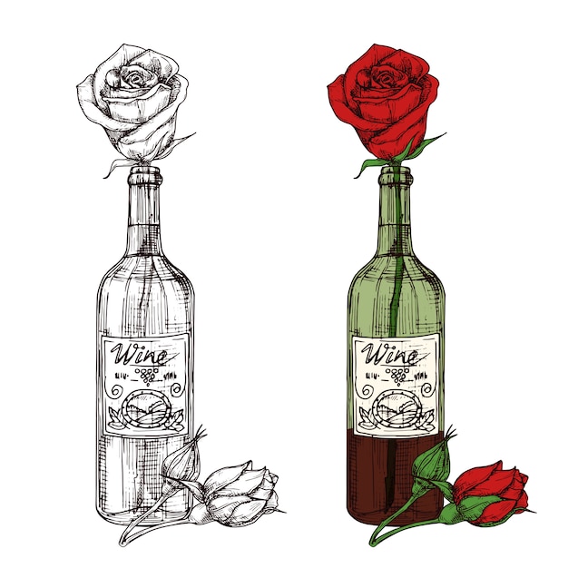 Vector hand drawn sketched rose in wine bottle