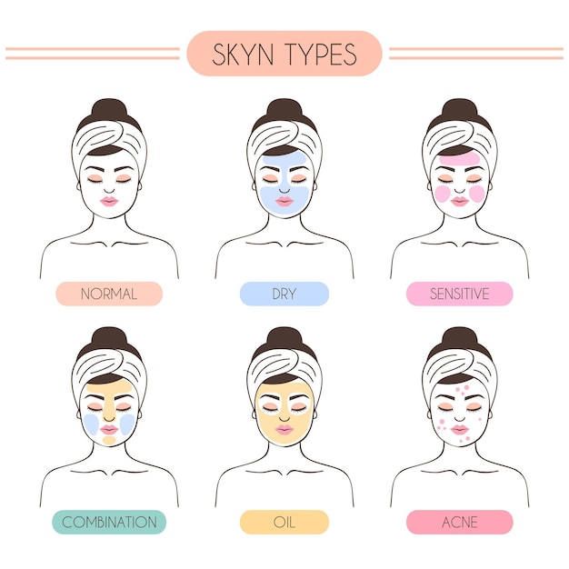 Vector hand-drawn skin types illustration