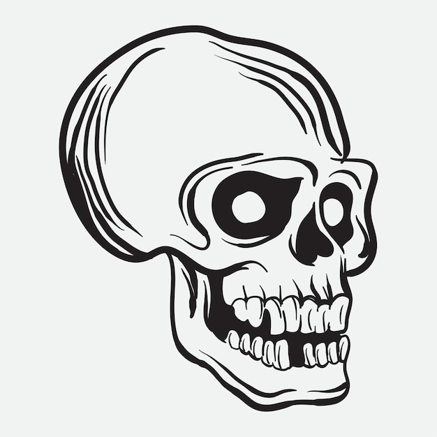 hand drawn skull art vector illustration line art of skull of human