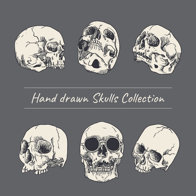 Vector hand drawn skull illustration