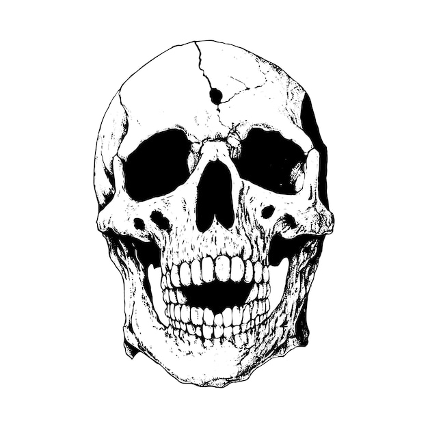 Hand Drawn Skull In Monochrome Vector Skull Illustration