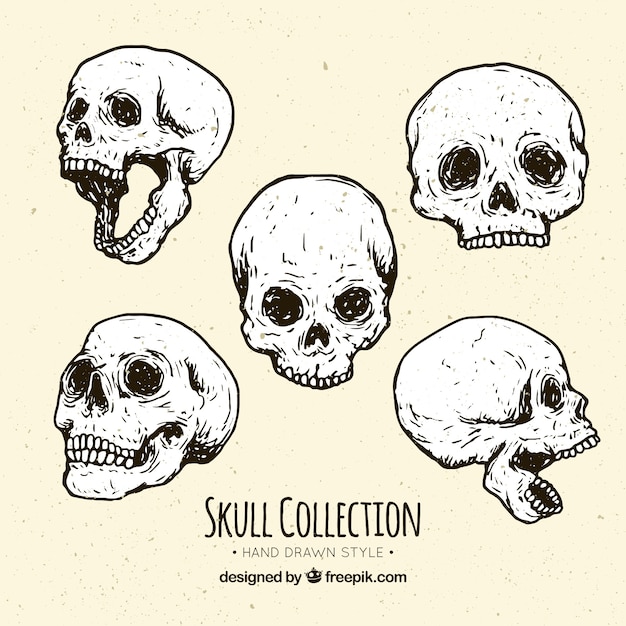 Vector hand-drawn skulls with fantastic designs