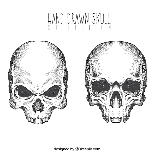 Vector hand drawn skulls