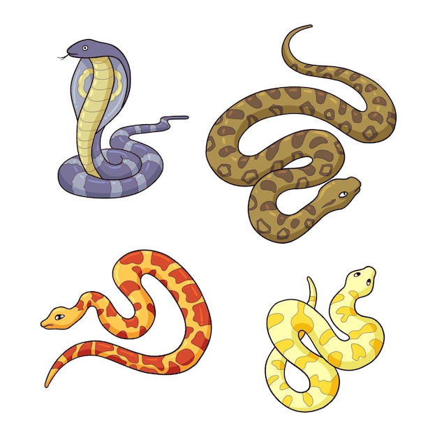 Vector hand drawn snake collection 2