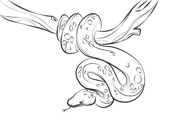 Vector hand drawn snake outline illustration