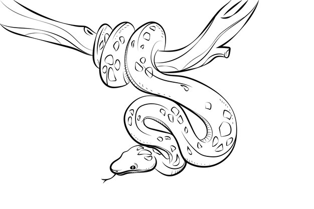 Hand drawn snake outline illustration