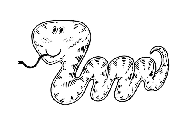 Vector hand drawn snake outline illustration