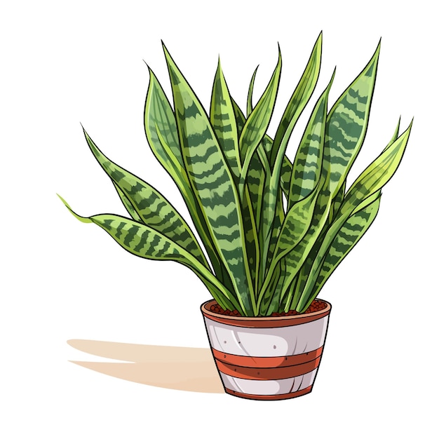 Вектор Ручная иллюстрация snake plant sansevieria trifasciata мультфильм векторная иллюстрация клипарт