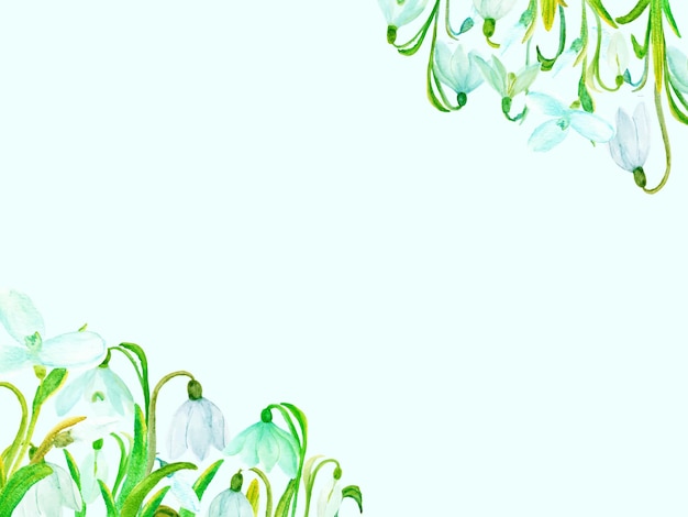 Hand drawn snowdrop spring flower frame background