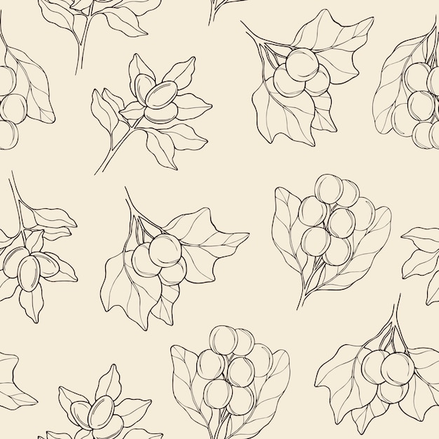 Vector hand drawn soapberry, shea, candlenut seamless pattern