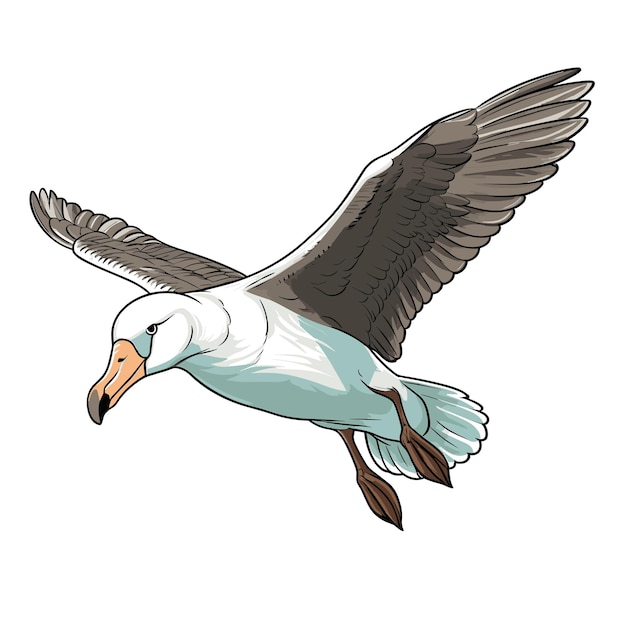 Нарисованная рукой иллюстрация альбатроса сплошного цвета
