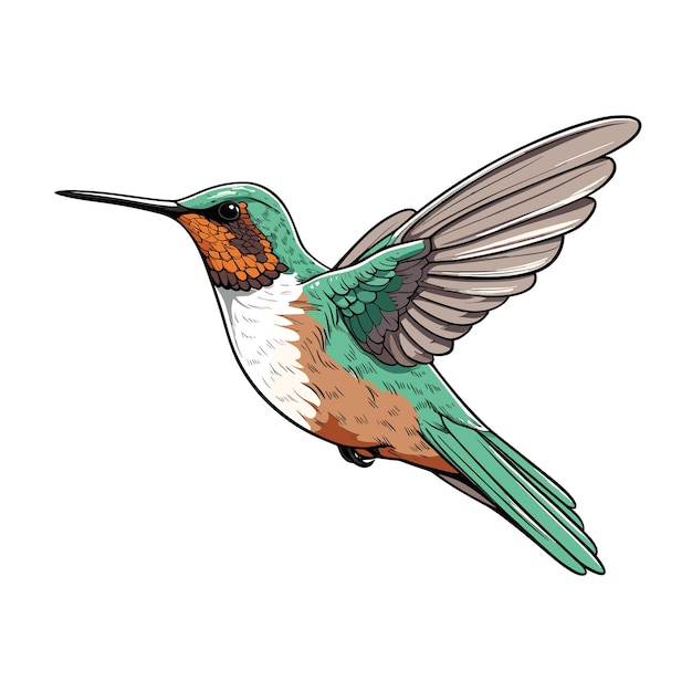 Hand Drawn Solid Color Hummingbird Illustration