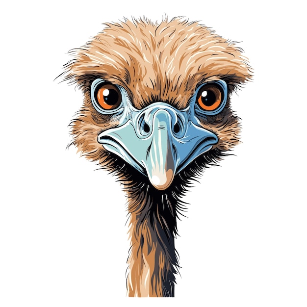 Hand Drawn Solid Color Ostrich Illustration