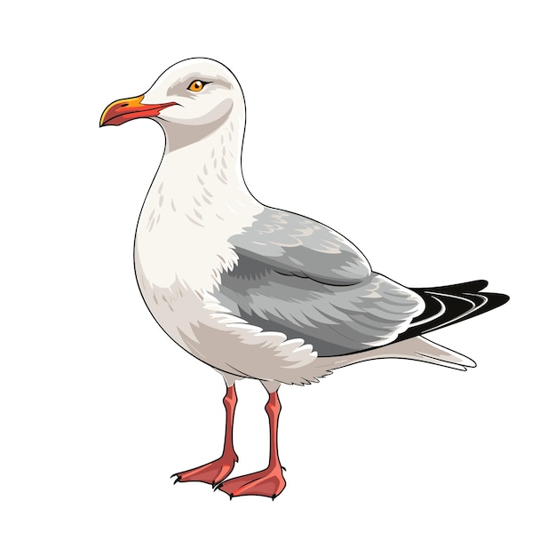 Hand Drawn Solid Color Seagull Illustration