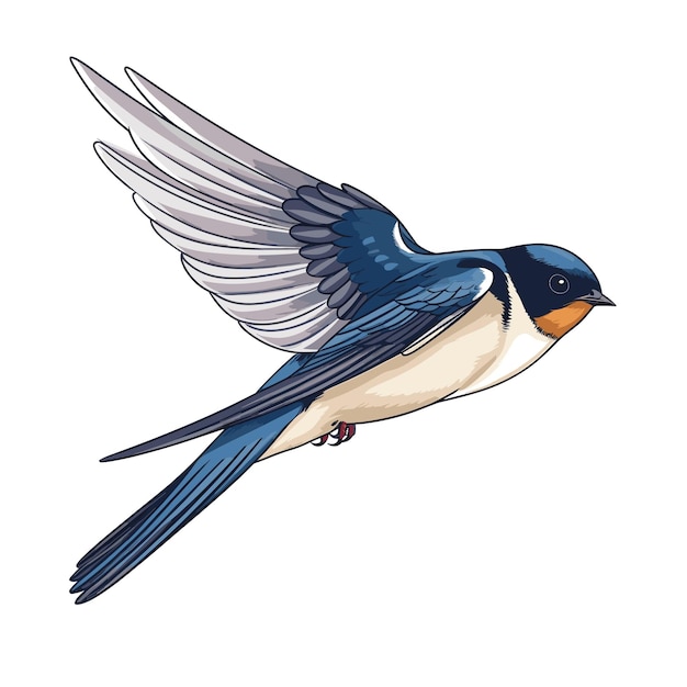Вектор Нарисованная рукой иллюстрация птицы-ласточки сплошного цвета
