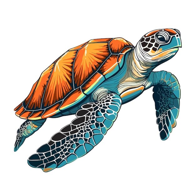 5,400+ Drawing Of Turtle To Color Stock Illustrations, Royalty-Free Vector  Graphics & Clip Art - iStock