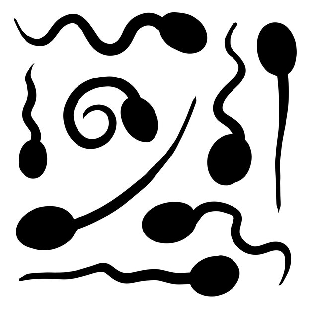 Vector hand drawn sperm icon. thin black line doodle tadpole arrows in large collection in vector