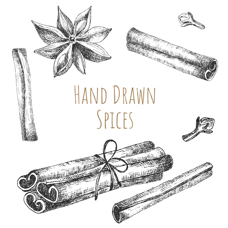 Vector hand drawn spices
