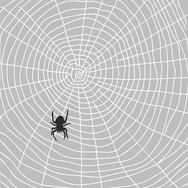 Hand Drawn Spider Illustration  Vector Design Element For Halloween