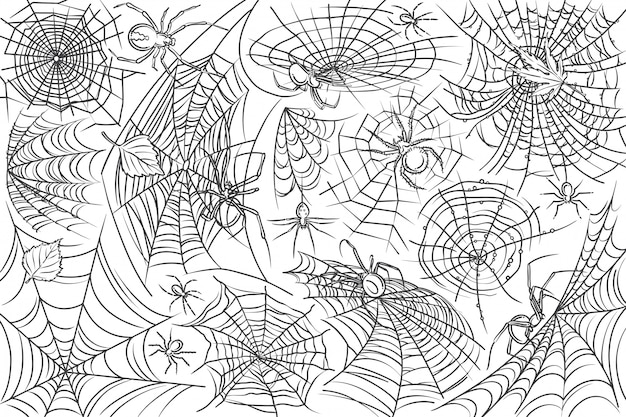 Hand drawn spider and web