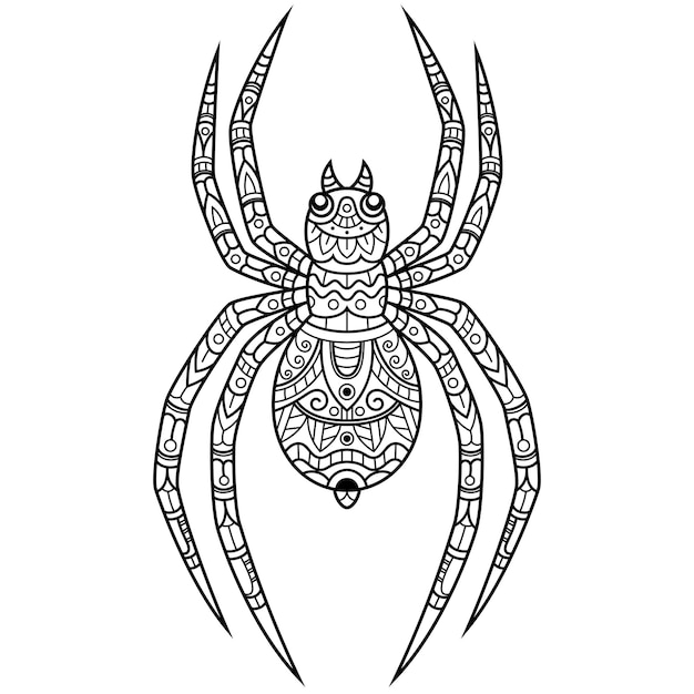 Hand drawn of spider in zentangle style