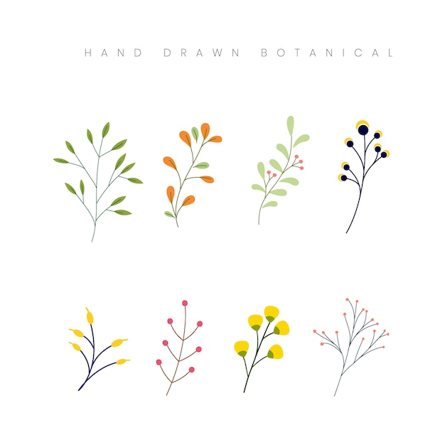 Hand Drawn Spring Botanical Flower Floral Elements Set Illustration