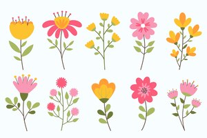 Hand drawn spring flower collection isolated on white background