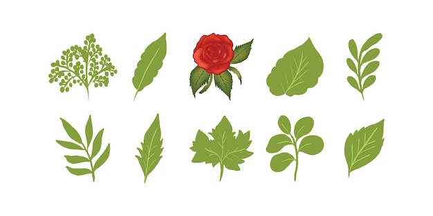 Hand drawn spring flower collection Vector Illustration