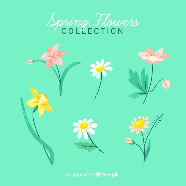 Hand drawn spring flower collection