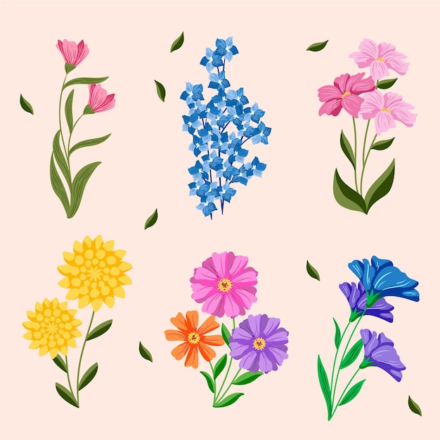 Confezione di fiori primaverili disegnati a mano