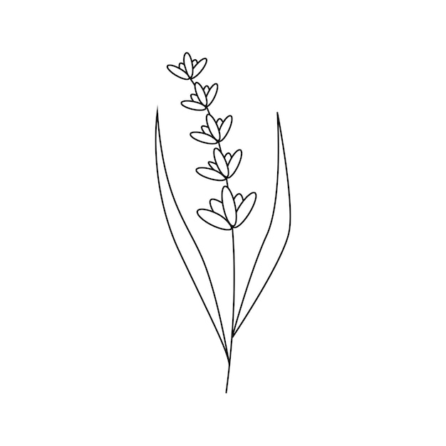 Hand drawn spring flower with leaves