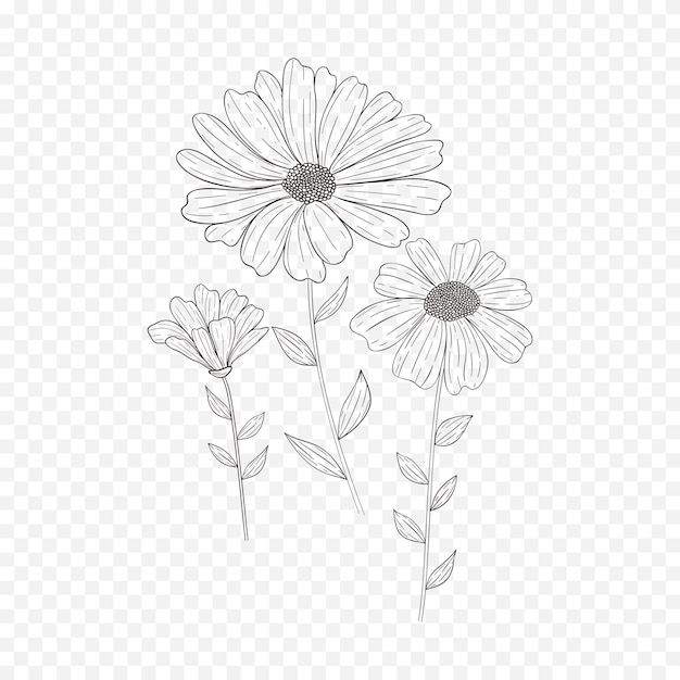 손으로 그려진 봄 꽃 일러스트레이션 꽃 일라스트레이션