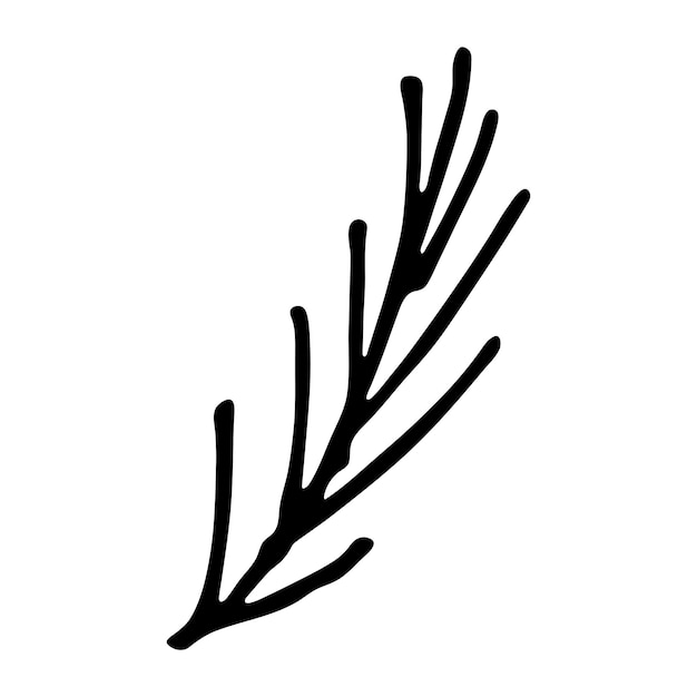 手描きトウヒ枝クリップアート針葉樹の小枝落書きクリスマスと冬のデザイン要素