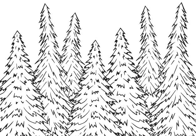 Hand drawn spruce forest isolated on white background