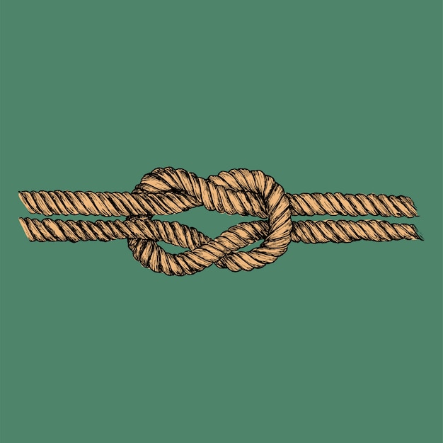 Vector hand drawn square knot