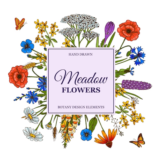 Hand drawn square summer wildflowers frame with butterflies Vector illustration