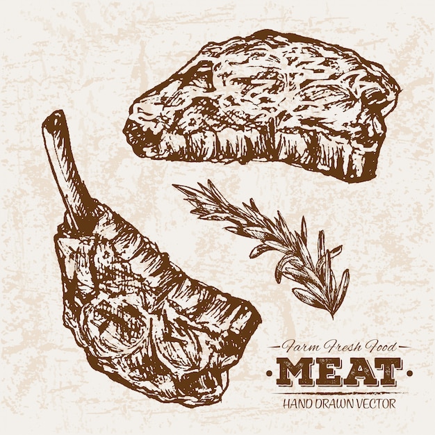 Hand drawn steak and rosemary